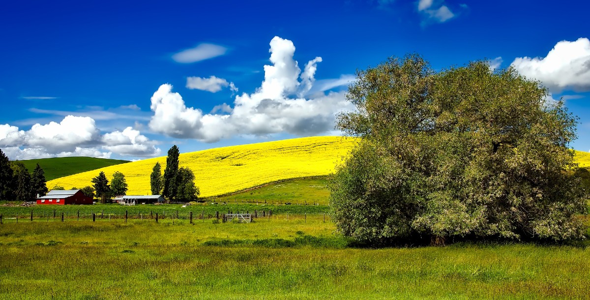 Banner image of Idaho Farm